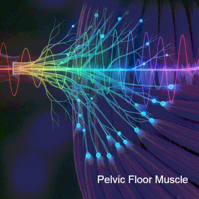 Control & Confidence